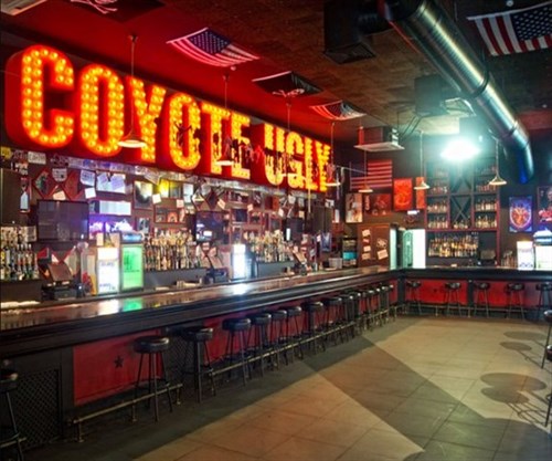 Coyote Ugly at New York New York