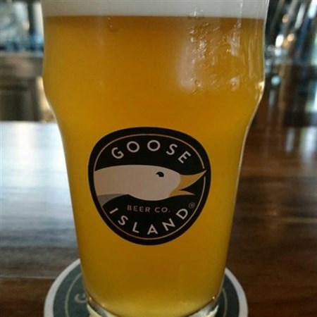 Goose Island Pub